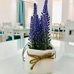 Ξενοδοχείο Tadora Eforie Nord