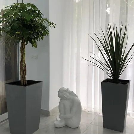 Отель Tadora 3*
