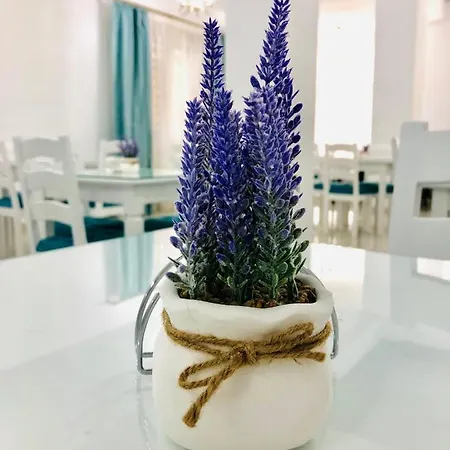 Hotell Tadora Eforie Nord